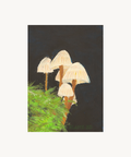 Mushroom Art Print by Tee-ell